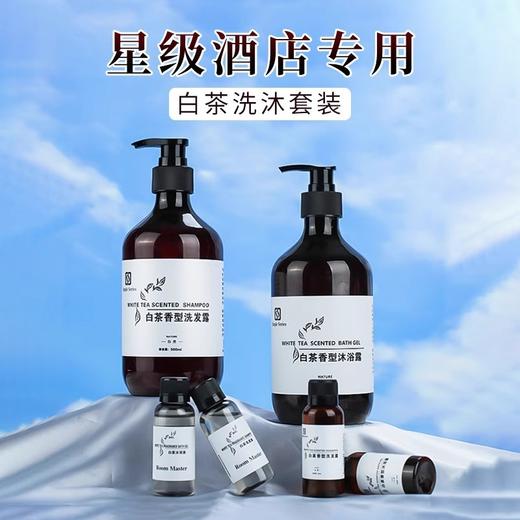 酒店一次性洗发水沐浴露小瓶装宾馆民宿浴场澡堂专用一件起批正品 商品图0