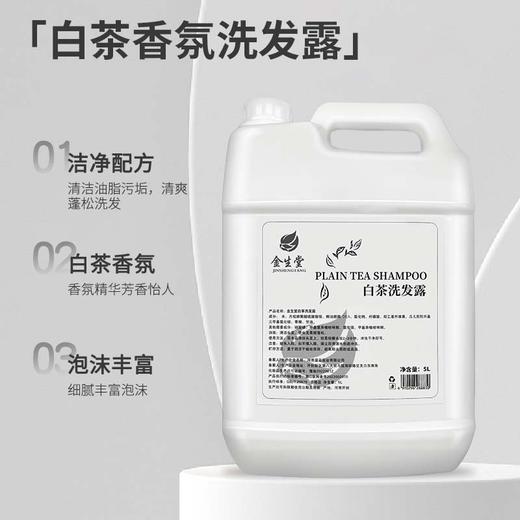 20kg酒店理发店浴场专用大桶白茶洗发水沐浴露补充装包邮一件起批 商品图1
