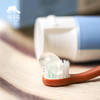 植物精粹净白牙膏/儿童洋甘菊植萃牙膏 | 公平贸易*Plant Essence Whitening Toothpaste| Fair Trade 商品缩略图1