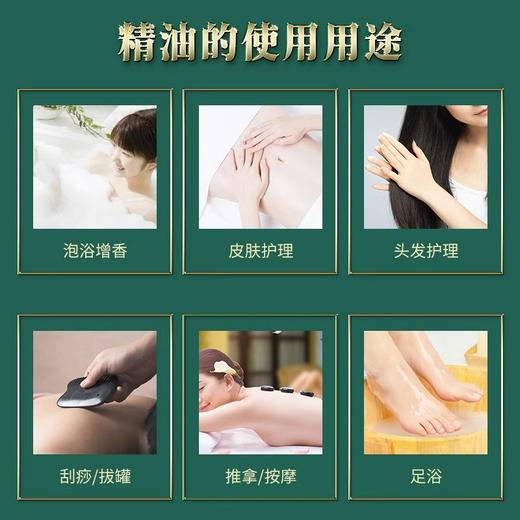 艾草生姜按摩精油全身通经络肩颈面部开背刮痧发热身体推背美容院 商品图2