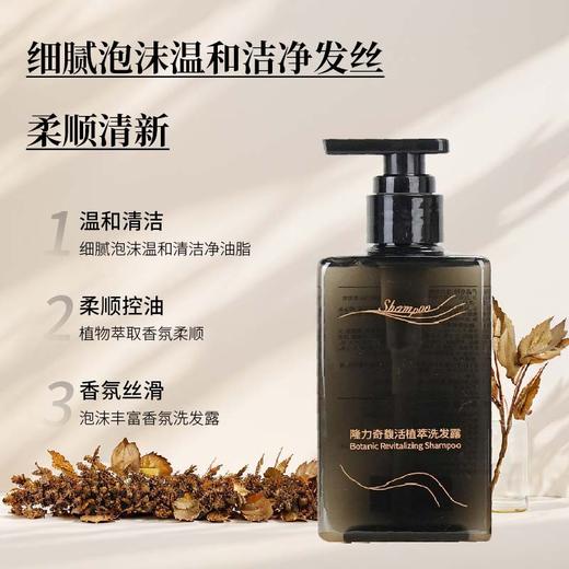 官方正品隆力奇洗发水沐浴露护发素300ml洗护套装酒店用品消耗品 商品图2