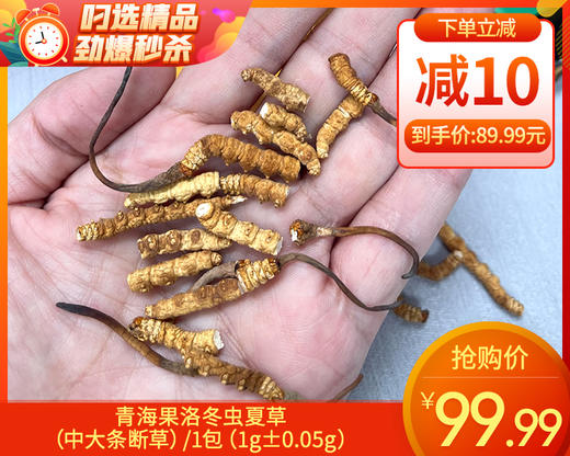 青海果洛冬虫夏草（中大条断草）/1包（1g±0.05g）生产日期：25年11月补单专用 商品图0