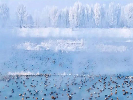 元旦3日【呼市火山】冰火72小时乌兰哈达火山群-呼市citywalk&寺庙之旅-千岛湖雾凇-涝利海 商品图1