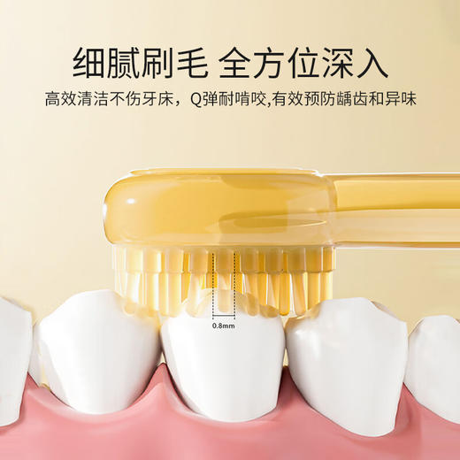 英氏 小恐龙乳牙刷 Y21A 棕色 商品图4