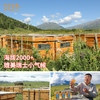 新疆阿勒泰山花蜂蜜活性酶含量高自然成熟蜜营养丰富 商品缩略图3