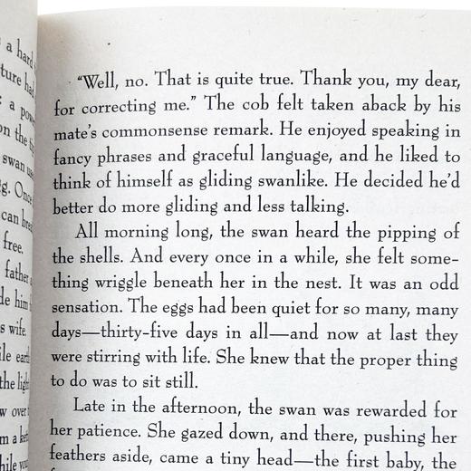 吹小号的天鹅 The Trumpet of the Swan 关于成长的寓言 英文版进口儿童文学 商品图2