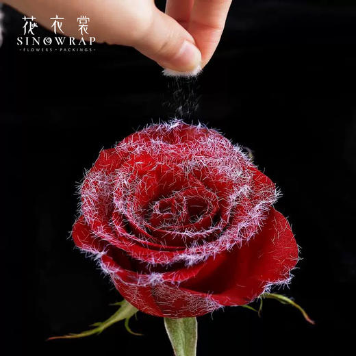 毛绒捏捏植绒粉/鲜花喷胶 商品图3