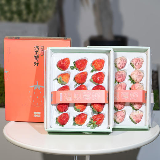 【排单发货】有机草莓丨多品种，红草莓香气浓郁，黑草莓甘甜爽口，粉草莓小清新，叶子较大，介意慎拍，⭐️京东空运 商品图5