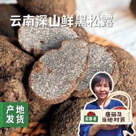 云南深山鲜黑松露（非种植）| 合作农友生产，产自云南永仁，采集者：康丽及当地村民 *【公平贸易农人定价】