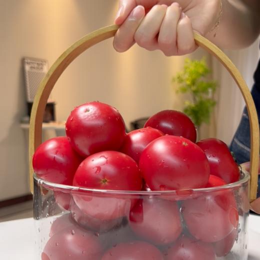 预售7-10天发货【玫瑰番茄】带有花香味，水果番茄中的高端品种！！  果肉脆甜，酸甜多汁，自然成熟，果实呈暗红色 商品图0