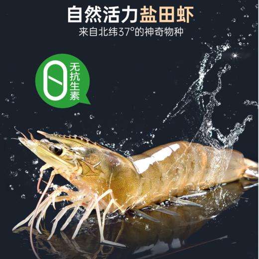自营（美厨）-盐田 有机生盐田虾（26-30只/斤）230g/盒*3 顺丰包邮 商品图1