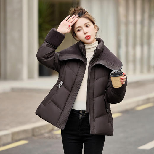 拉链翻领时尚潮牌白鸭绒保暖羽绒服送腰带HR-HBLJRD222 商品图1