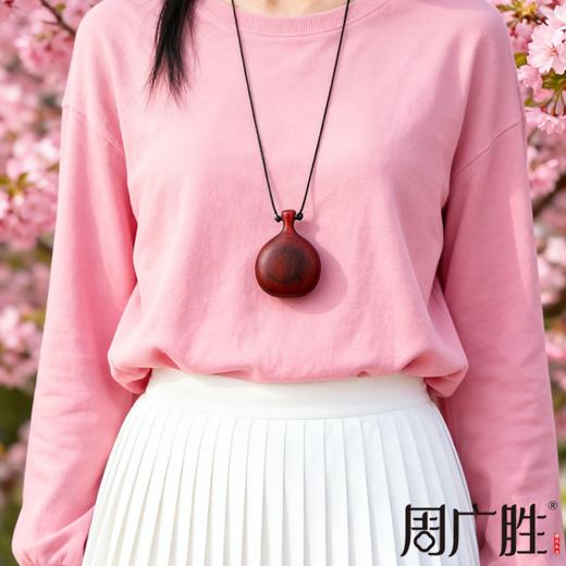 明星同款紫檀宝瓶吊坠护身符本命年轻奢节日礼物潮流毛衣链 商品图4
