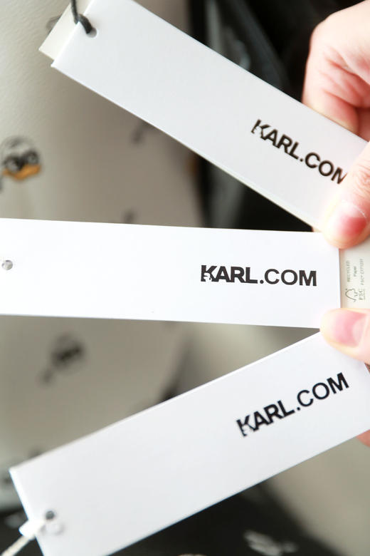 旅行包+手提包+托特包一起，公仔限定满印大容量法式包包C120360 商品图3