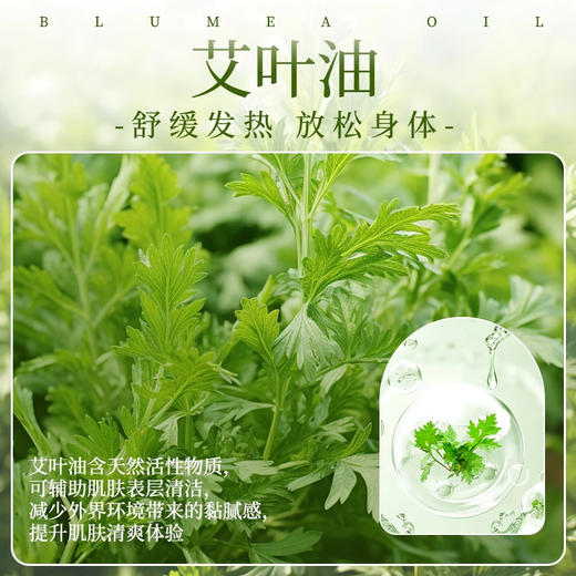 艾草精油官方旗舰店正品脸部全身推背按摩身体通经络艾油刮痧小瓶 商品图2