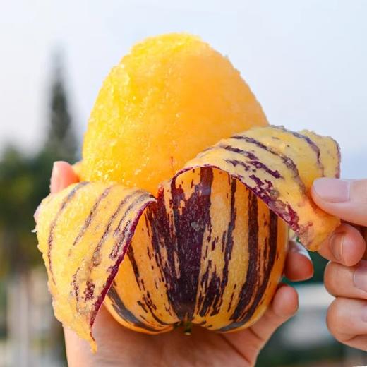 甘肃民勤沙漠人参果 清甜多汁 黄肉熟果 商品图1