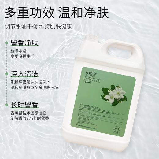 酒店宾馆20升大桶洗发露沐浴露理发店美发廊浴场大瓶洗发水补充装 商品图2