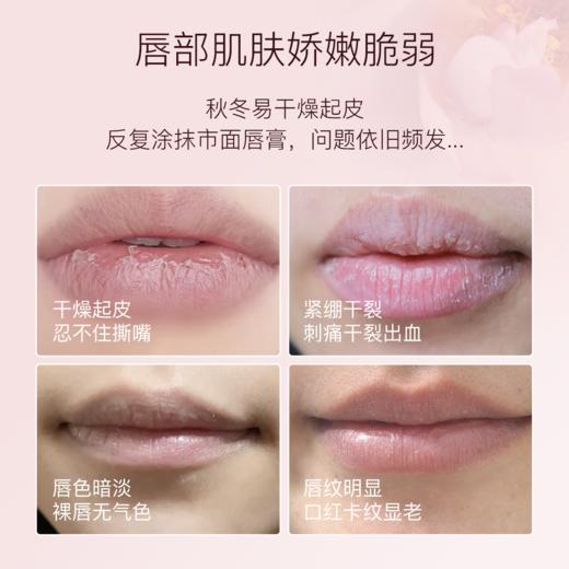 柳丝木臻润护唇套组保湿柔润补水口红打底男女士学生无色 商品图2