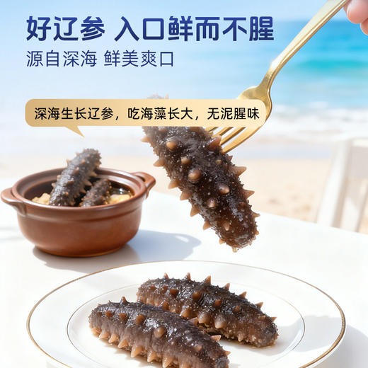 【海参半年卡】长轻优选×岛上的 即食海参 520g/袋（14-17头） 鲜美爽口营养丰富 商品图2