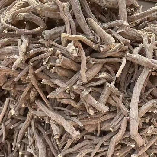 【2025年理塘野生干党参】4300米高海拔 5-7年/7-10年根可选 10斤鲜制1斤干货 商品图5