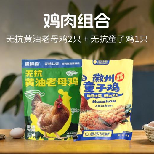 【肥西黄油老母鸡 金奖土鸡蛋】安徽肥西名鸡，优选中国原种土鸡 科学散养健康品质 买2送1 商品图8