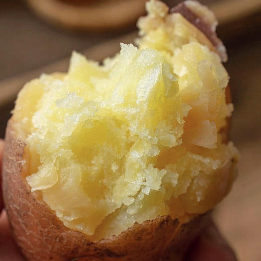 静乐有机红皮土豆【新挖出来的土豆】 商品图2