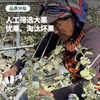 云南 花香蓝莓！健康养颜 果香浓郁 甜脆超好吃！ 商品缩略图3