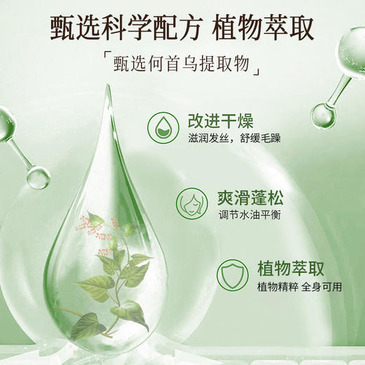 洗护套装洗发水沐浴露护发素家用酒店宾馆大瓶装蓬松头发厂家批发 商品图1