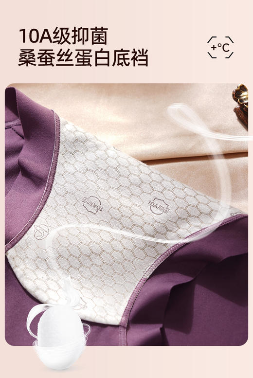 ADY2885生姜暖绒内裤 商品图5