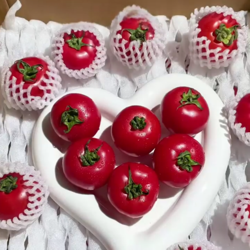 山努农场玫瑰番茄 | 带有花香味得水果番茄、果肉脆甜、酸甜多汁、自然成熟