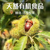 饭爷新品软糯有机迁西板栗仁60g*8袋迁西即食零食新鲜栗子仁 商品缩略图4