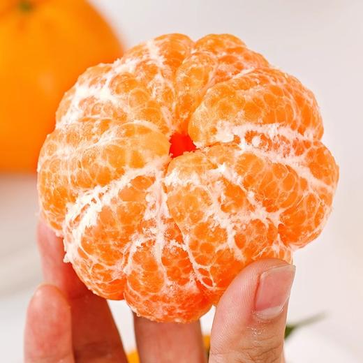 热销爆款！四川春见耙耙柑，果肉软嫩到入口即化，一抿爆汁，甘甜如蜜！ 商品图4