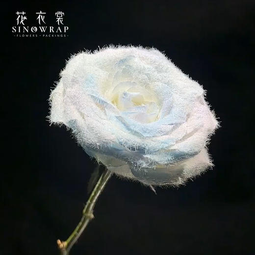 毛绒捏捏植绒粉/鲜花喷胶 商品图1