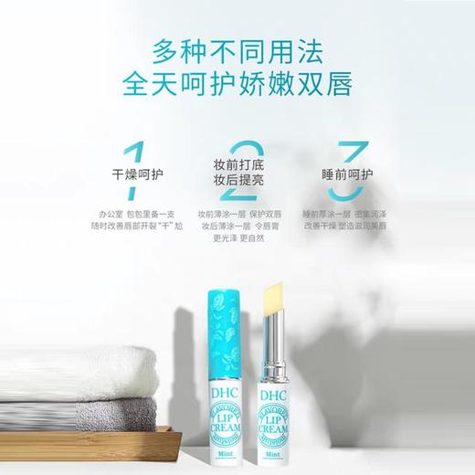 B1超市 【日本进口】DHC蝶翠诗植物香氛护唇膏（薄荷味） 商品图3