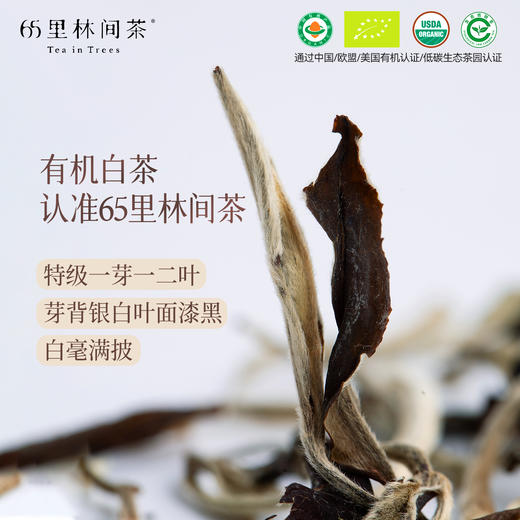 【2026新茶预售】慢品｜月光 有机白茶 80g｜温柔甜美 商品图1