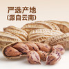 悠享佳云南七彩花生500g带壳花生当季新货特产黑花生炒货休闲零食 商品缩略图1