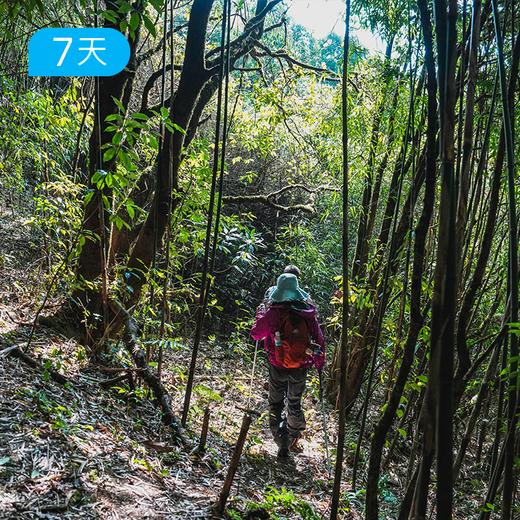 跨年迎新｜第一届高黎贡100公里徒步大会 重走茶马古道和中国远征军之路 7日 商品图4