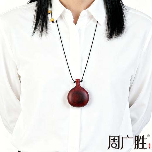 明星同款紫檀宝瓶吊坠护身符本命年轻奢节日礼物潮流毛衣链 商品图3