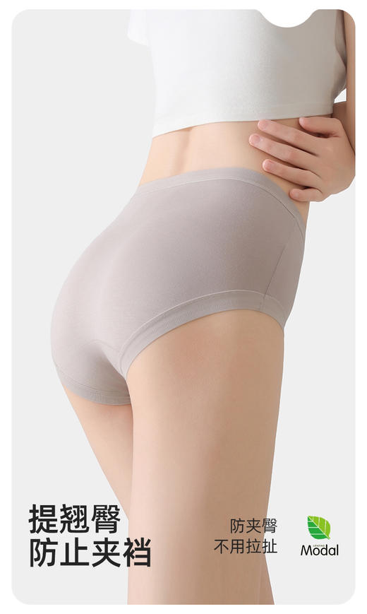 ADY668兰精莫代尔内裤 商品图8