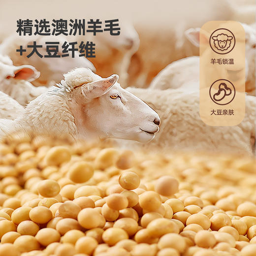 奥若拉 澳洲羊毛大豆被二合一子母被四季被秋冬被 商品图1