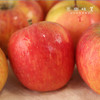 阿克苏有机苹果/水蜜桃苹果/爱妃苹果/红富士苹果（基地直发-顺丰快递）|多种规格，来自新疆阿克苏，生产者：贺章伟（合作生产，公平贸易） 商品缩略图4