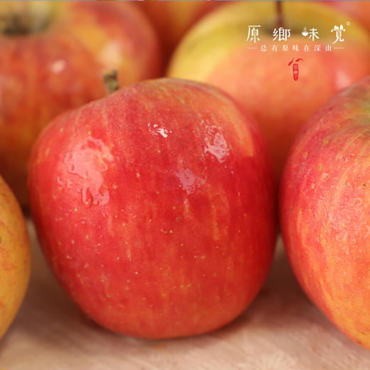 阿克苏有机苹果/水蜜桃苹果/爱妃苹果/红富士苹果（基地直发-顺丰快递）|多种规格，来自新疆阿克苏，生产者：贺章伟（合作生产，公平贸易） 商品图4
