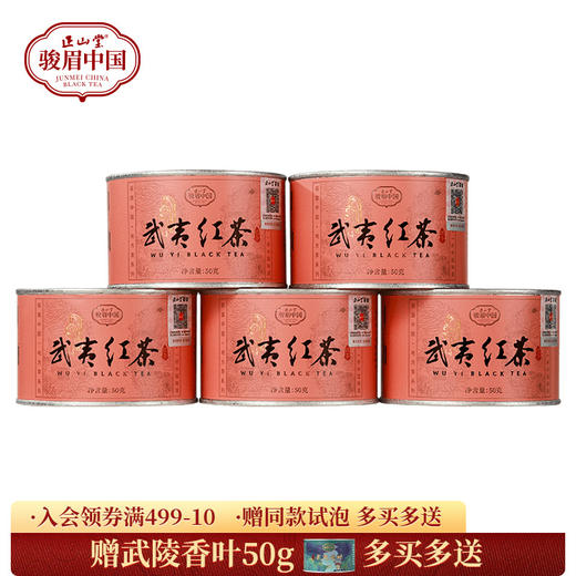 正山堂 武夷红茶 骏眉中国产区茶桃荔香正宗武夷山小种红茶冷泡茶 商品图0
