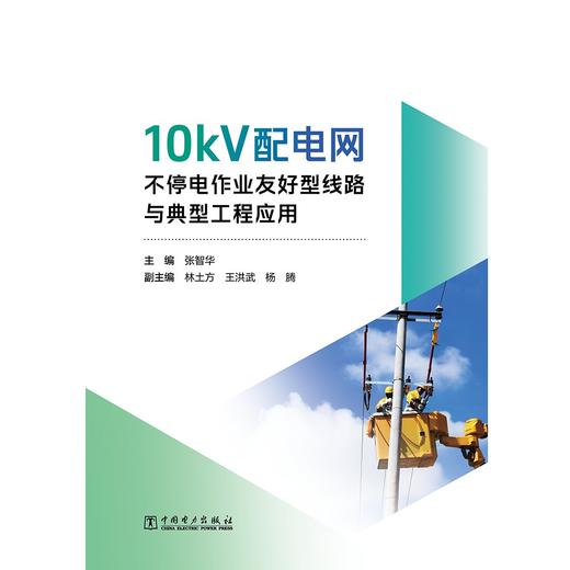 10kV配电网不停电作业友好型线路与典型工程应用 商品图1