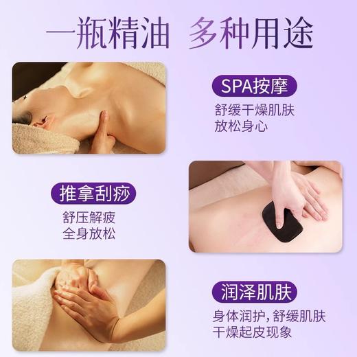 艾淳薰衣草精油美容院同款护肤油推肩颈身体舒缓按摩刮痧精油开背 商品图3