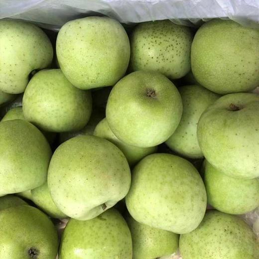 王林苹果一口清脆，满口幽香  当季新鲜采摘 商品图3