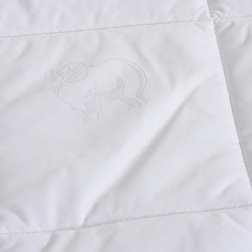 床笠式羊毛床垫 商品图4