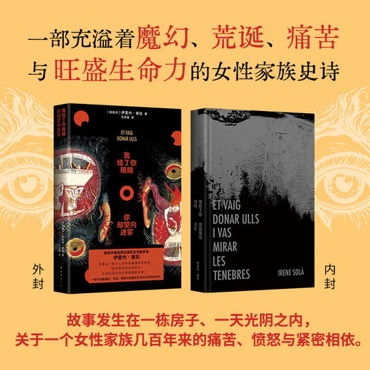 我给了你眼睛，你却望向迷雾 商品图1