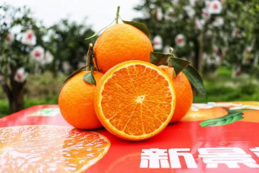 铜仁沿河【柑橘】生态柑橘皮薄易剥，每口都是鲜爽汁水 新鲜采摘 商品图7