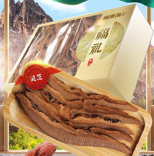 福东海 灵芝250g礼盒装 商品图0